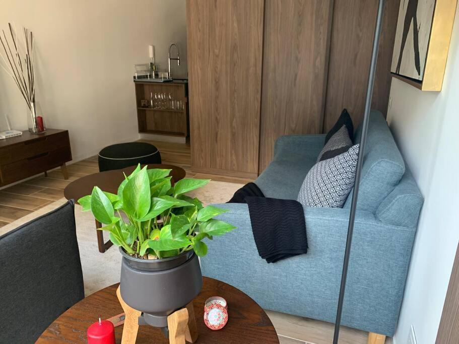 Ferienwohnung Nuevo Y Lujoso Depto Con Amenidades Nuevo Polanco Mexiko-Stadt Exterior foto